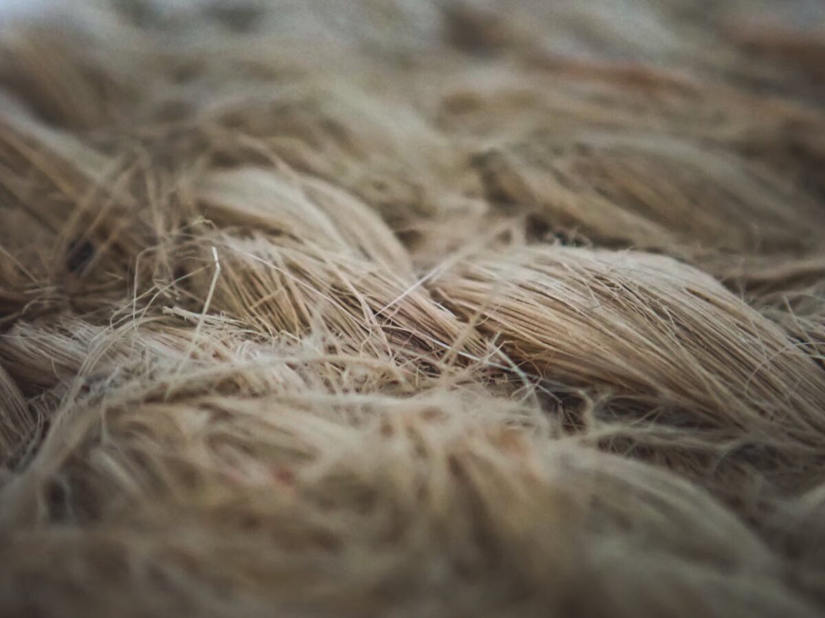 Detailed macro shot of raw flax fibers showcasing texture and natural color.