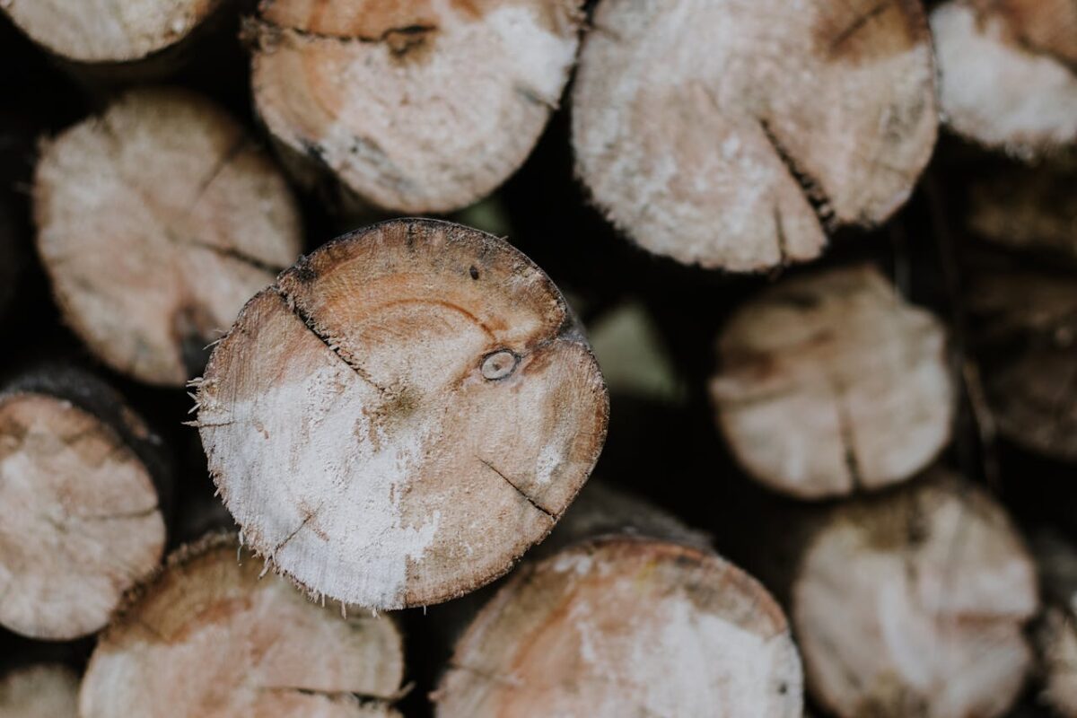 Close-up of stacked brown logs with textured bark, perfect for woodworking projects.